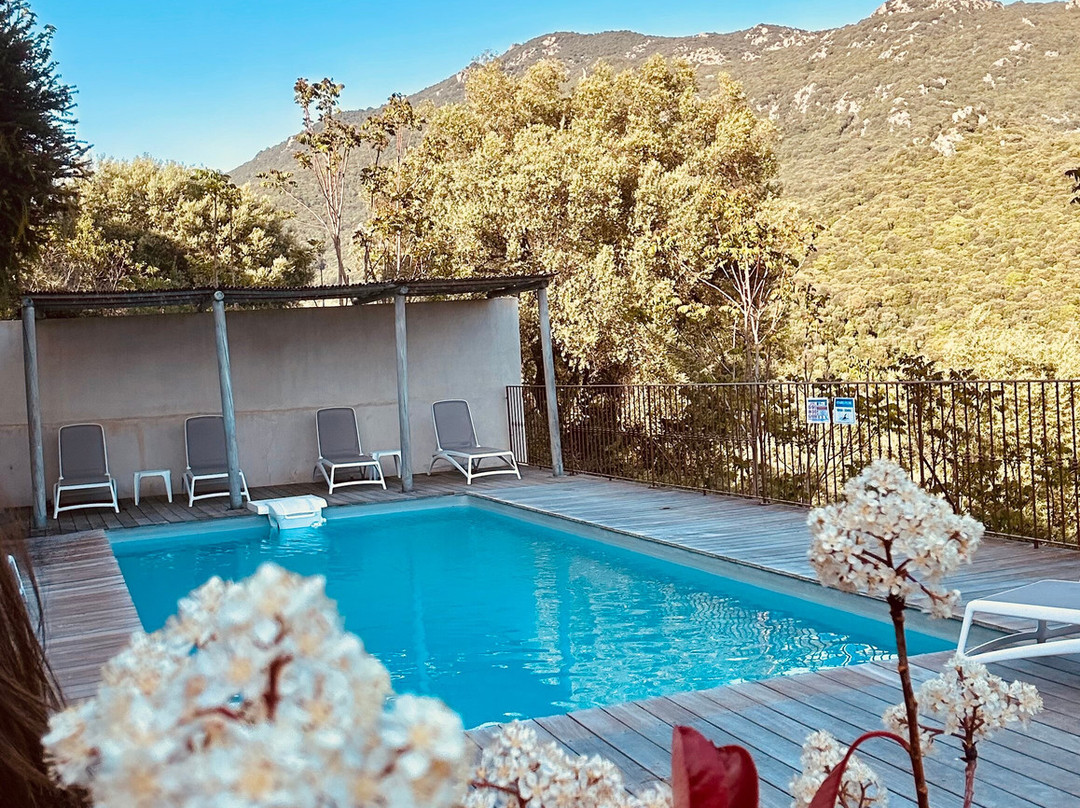 Hôtel Villa les Orangers主图