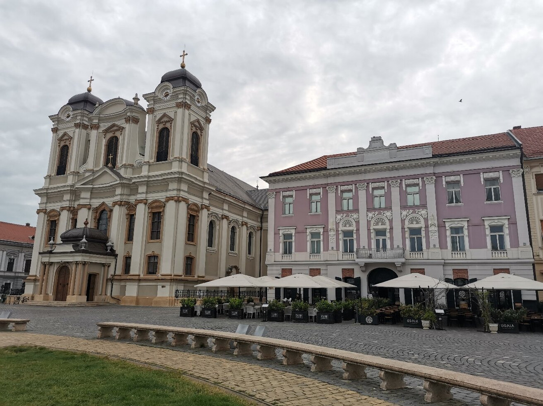 Timisoara Free Tours-蒂米什瓦拉必去景点