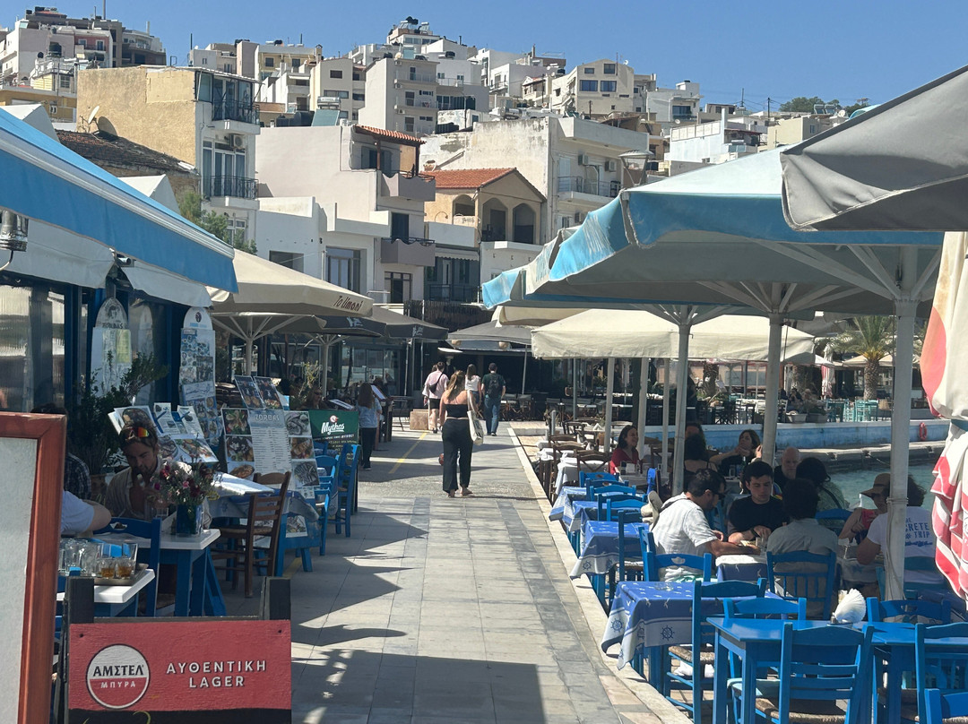 Zorbas Taverna