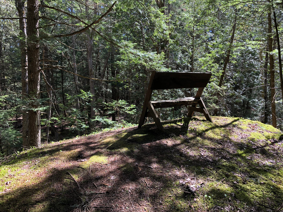 Baker Woods Preserve-Natural Bridge必去景点