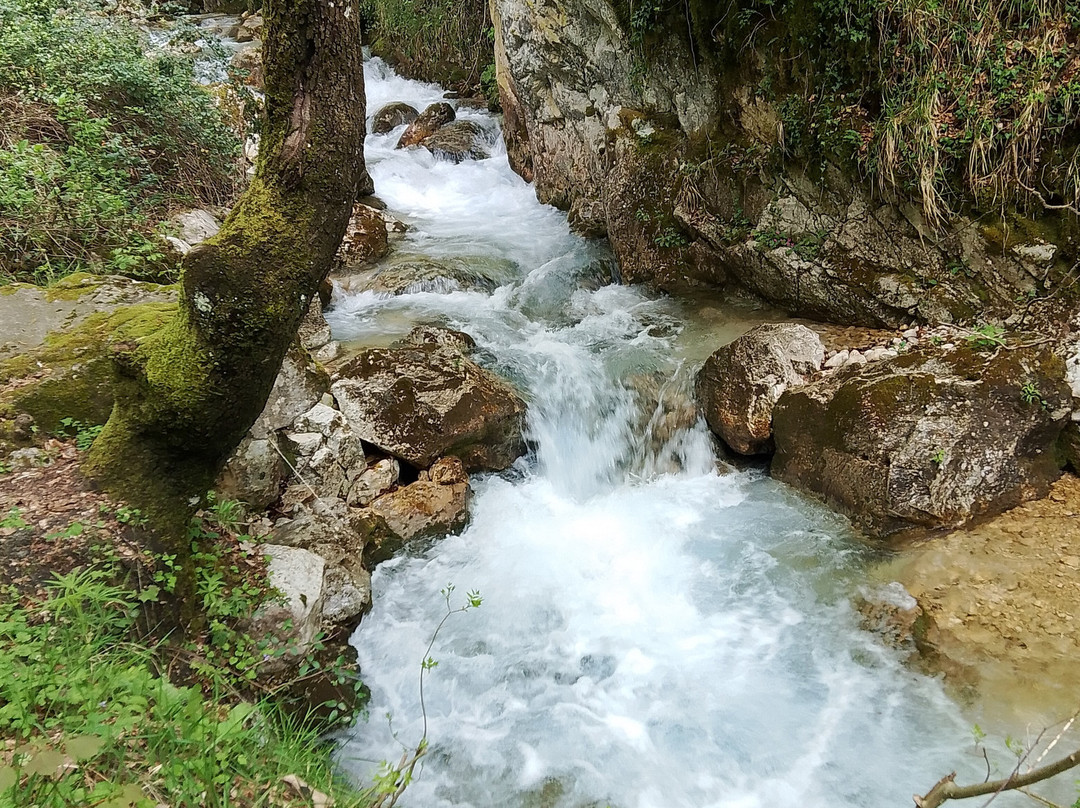 Sorgenti Di Capofiume-Collepardo必去景点