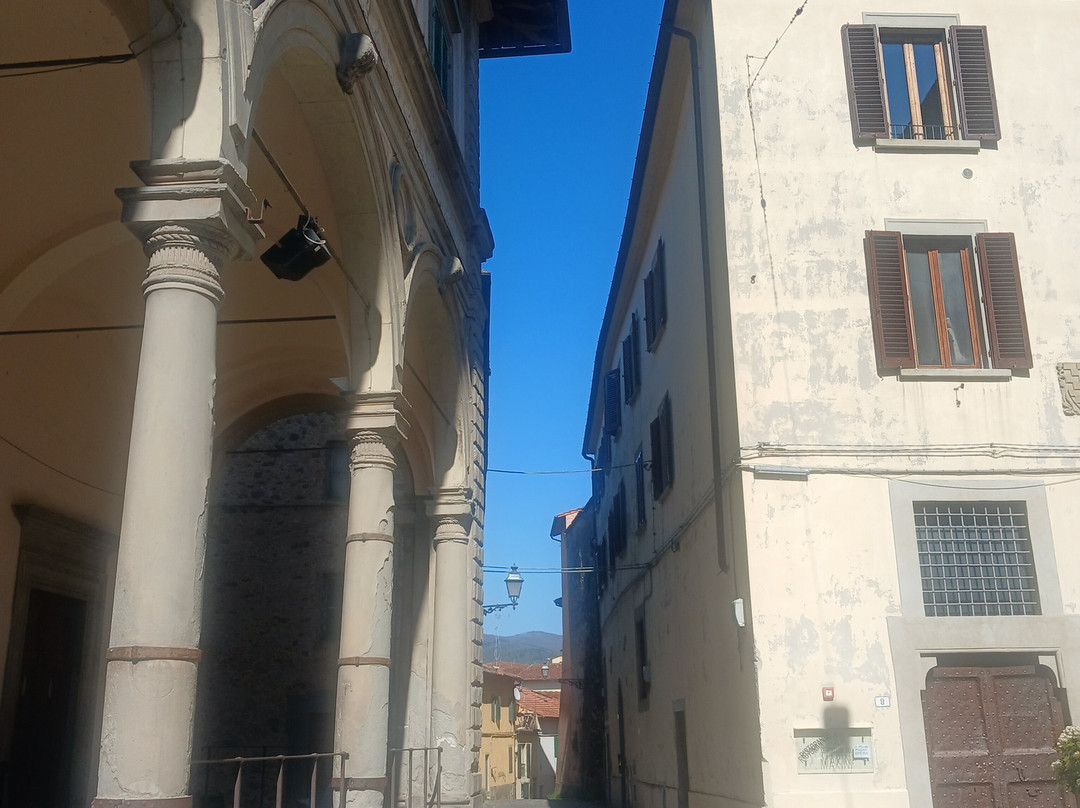 Biblioteca Comunale Forteguerriana-皮斯托亚必去景点