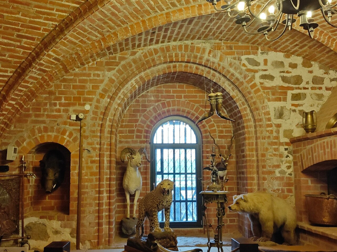 Trakai Island Castle-特拉凯必去景点