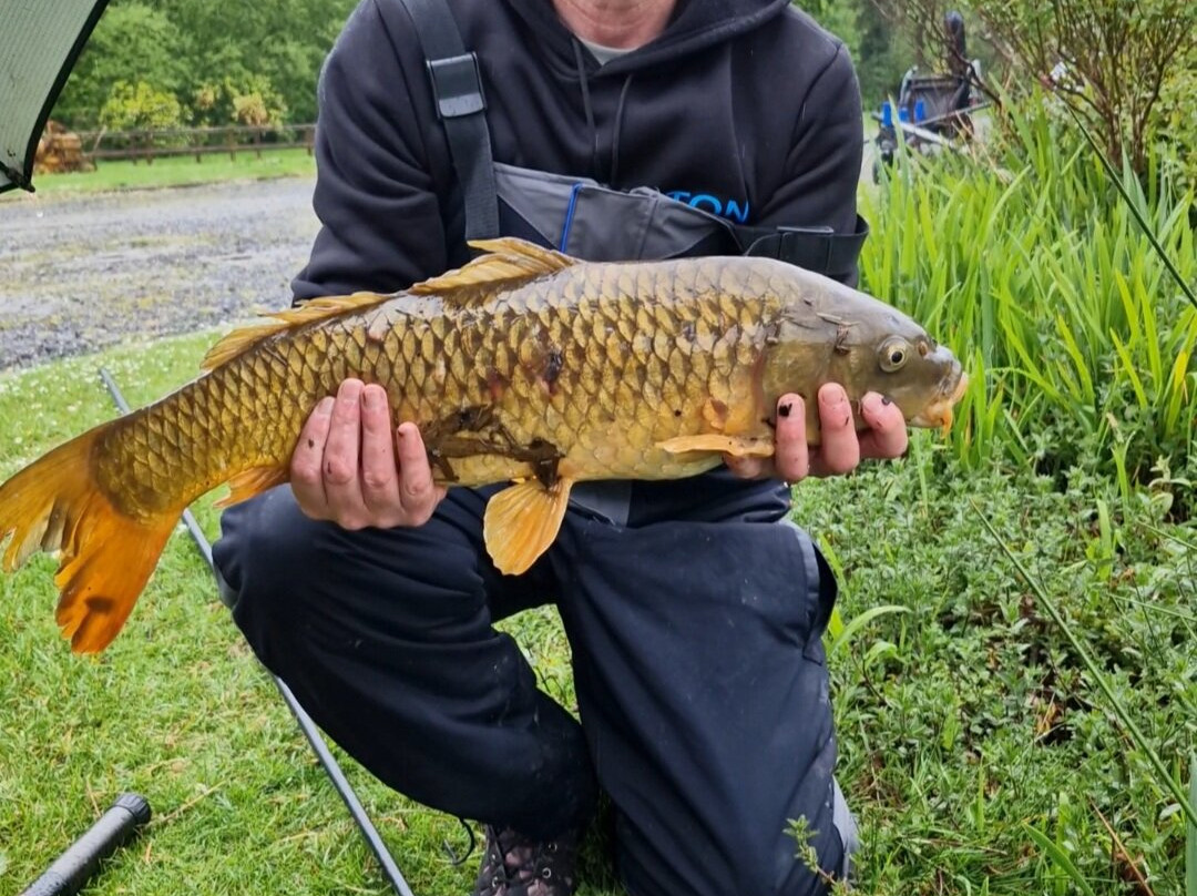 Holgan Farm Fishery-Narberth必去景点