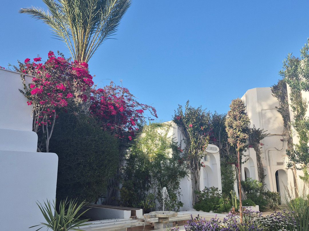 Seabel Rym Beach Djerba主图