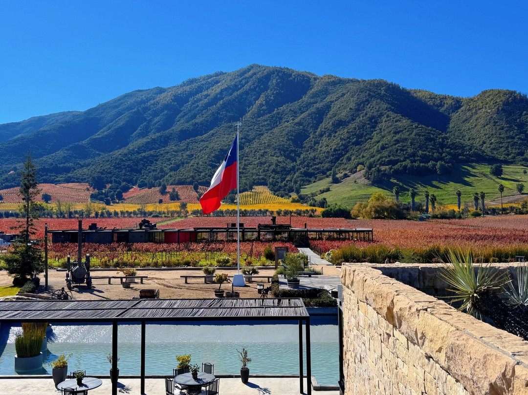 Colchagua Wine Tours-圣克鲁斯必去景点