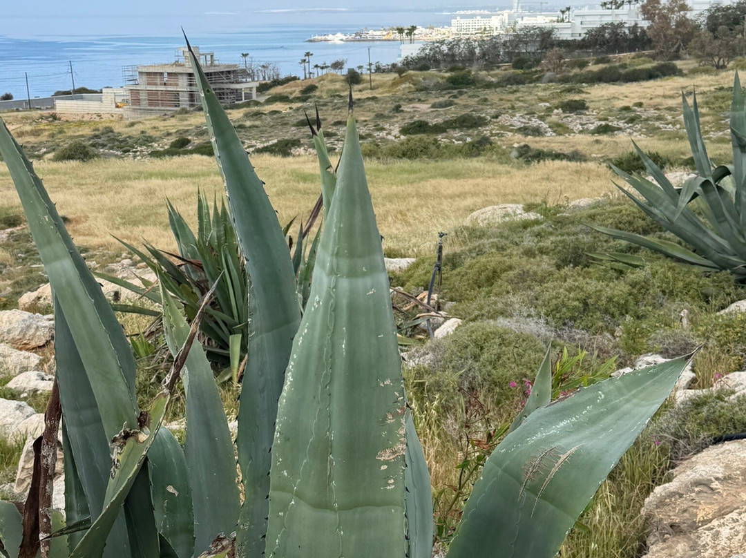 Ayia Napa Sculpture Park-阿依纳帕必去景点