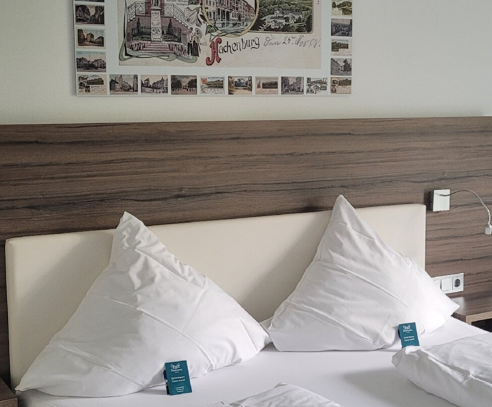 Parkhotel Hachenburg主图