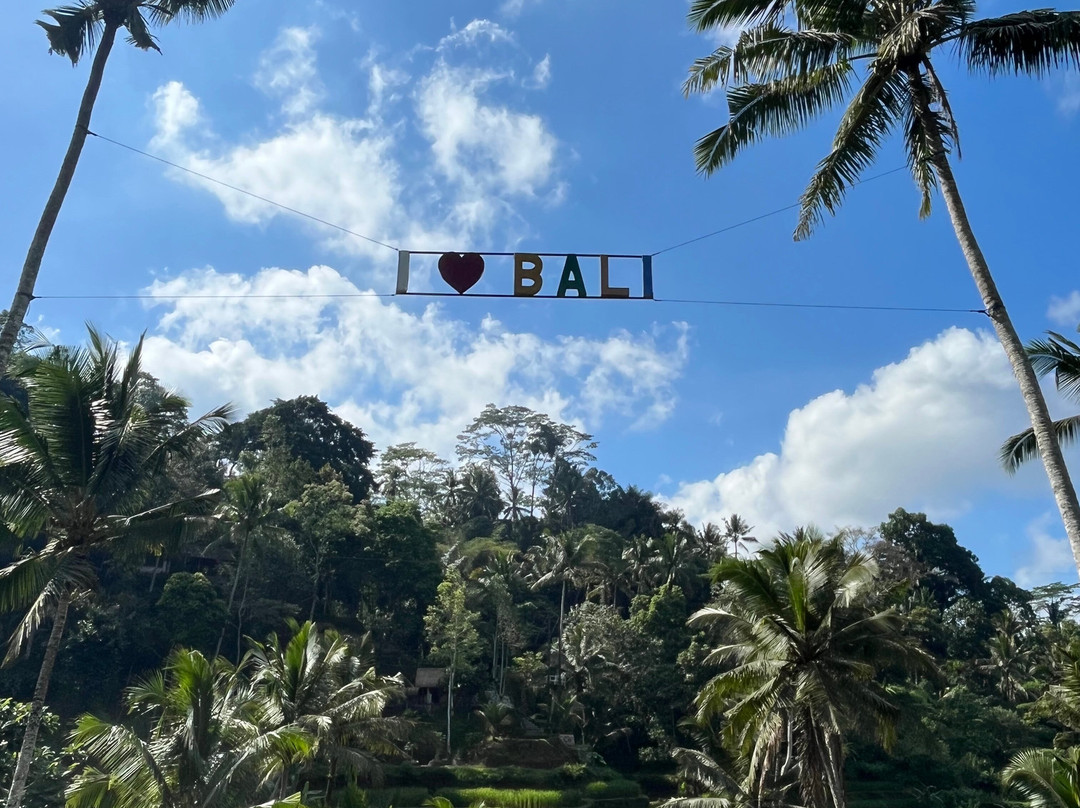 Edy Bali Tours-乌布必去景点