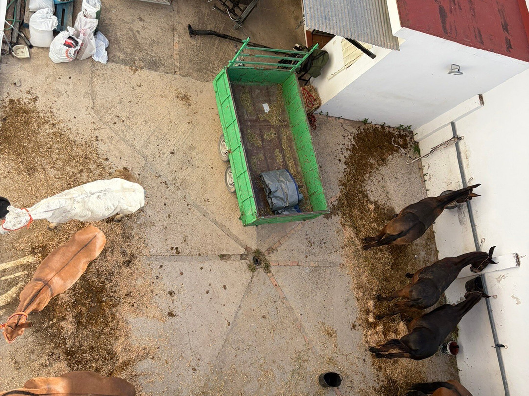 凯森酒店集团 马尔瓦西亚酒店主图