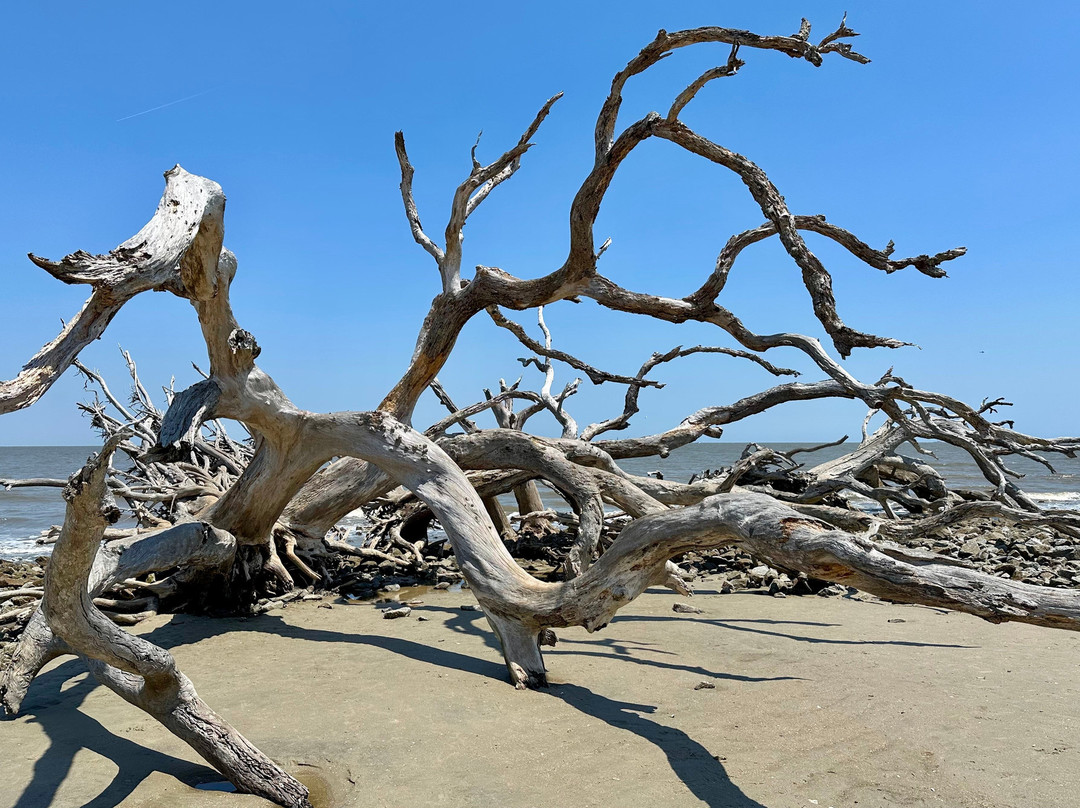 Driftwood Beach-吉柯岛必去景点