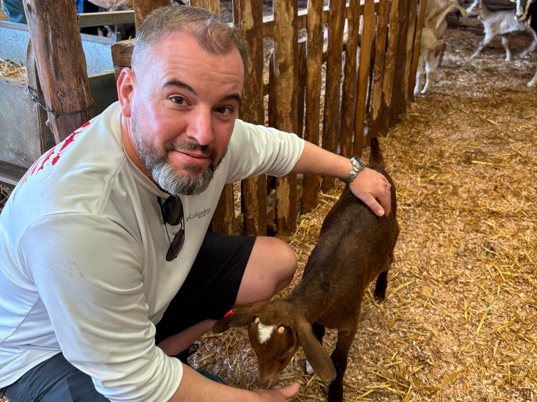Typical Breakfast with Goats-Rabo de Peixe必去景点