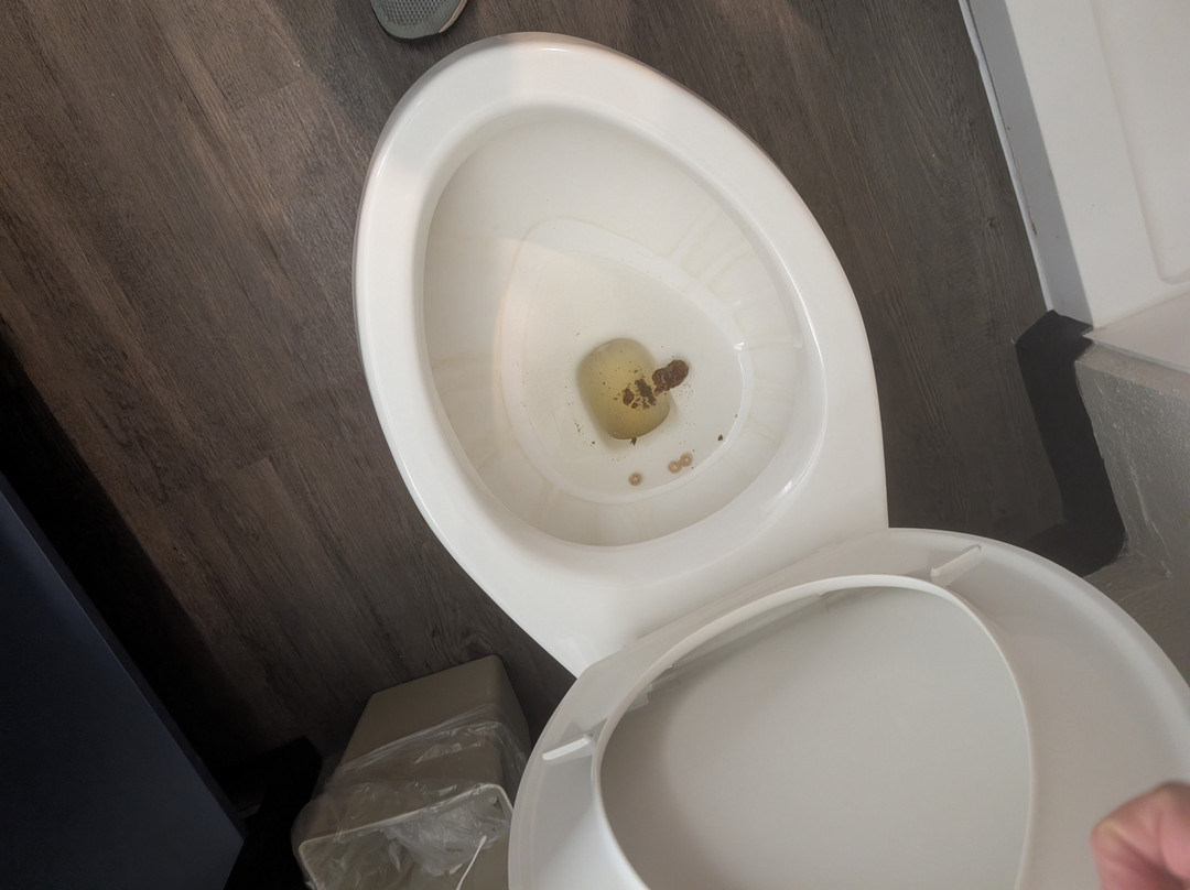 尼欧布拉拉旅馆主图