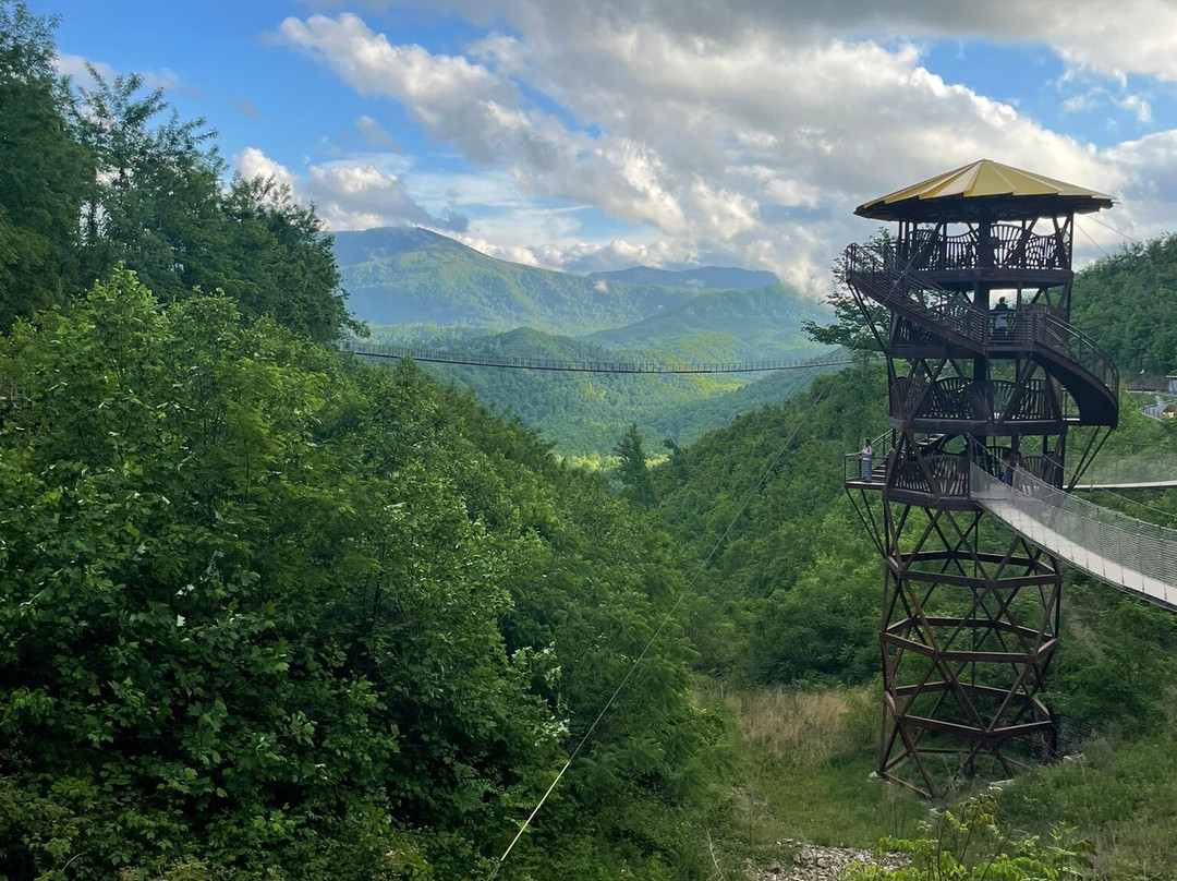 Gatlinburg SkyLift Park-盖林柏格必去景点