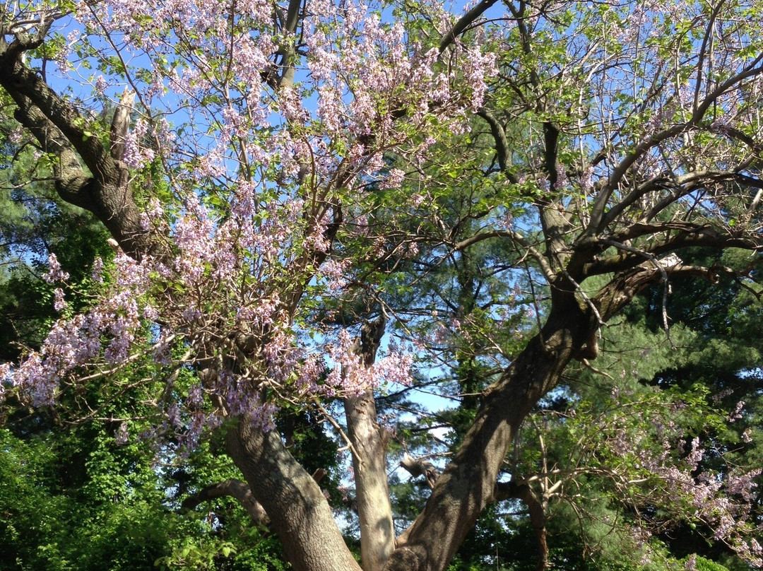 Rivertown Trail-Newburgh必去景点
