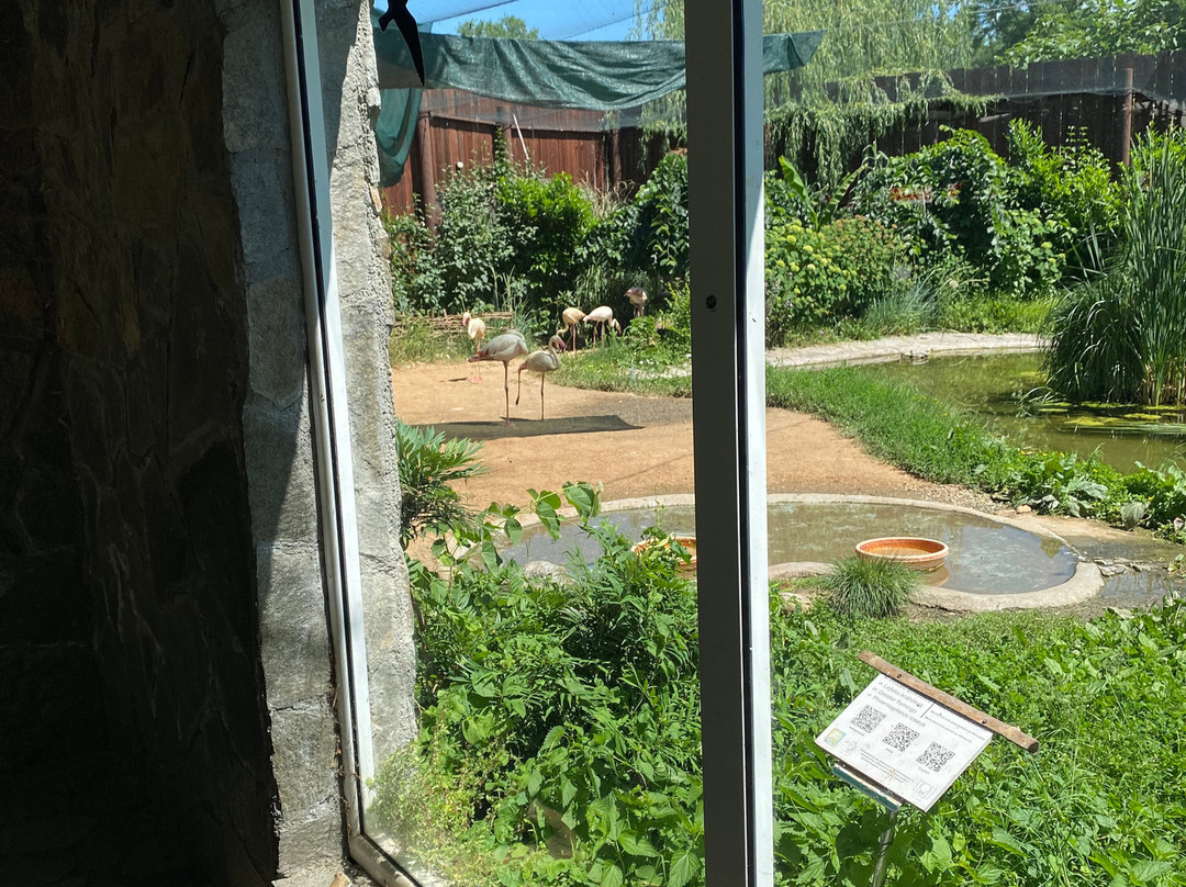 Skopje ZOO-斯科普里必去景点