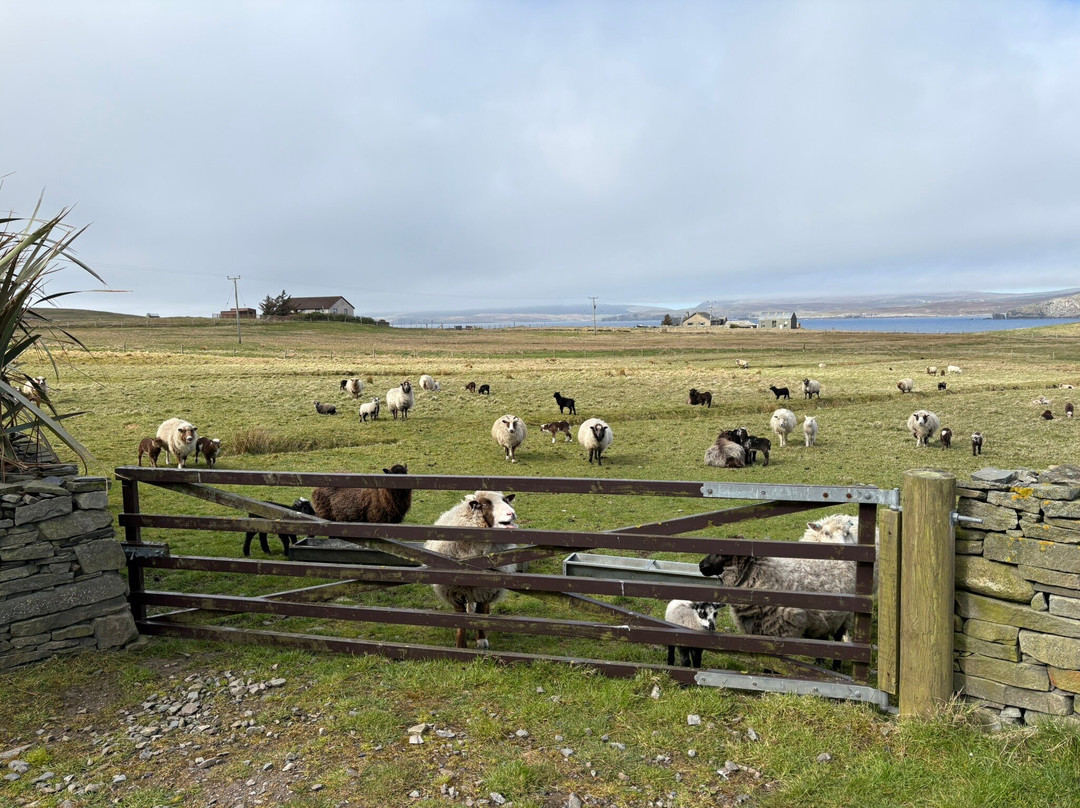 Shetland Islands旅游景点-GarthsCroftBressay
