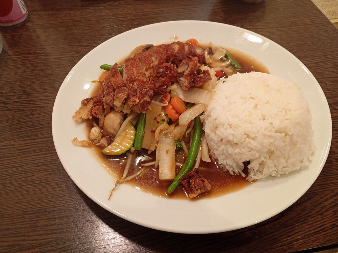 MYLO Asia Nudelbar