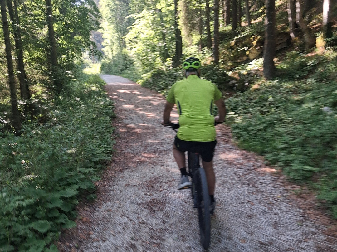 Giro delle Malghe di Caltrano-阿夏戈必去景点