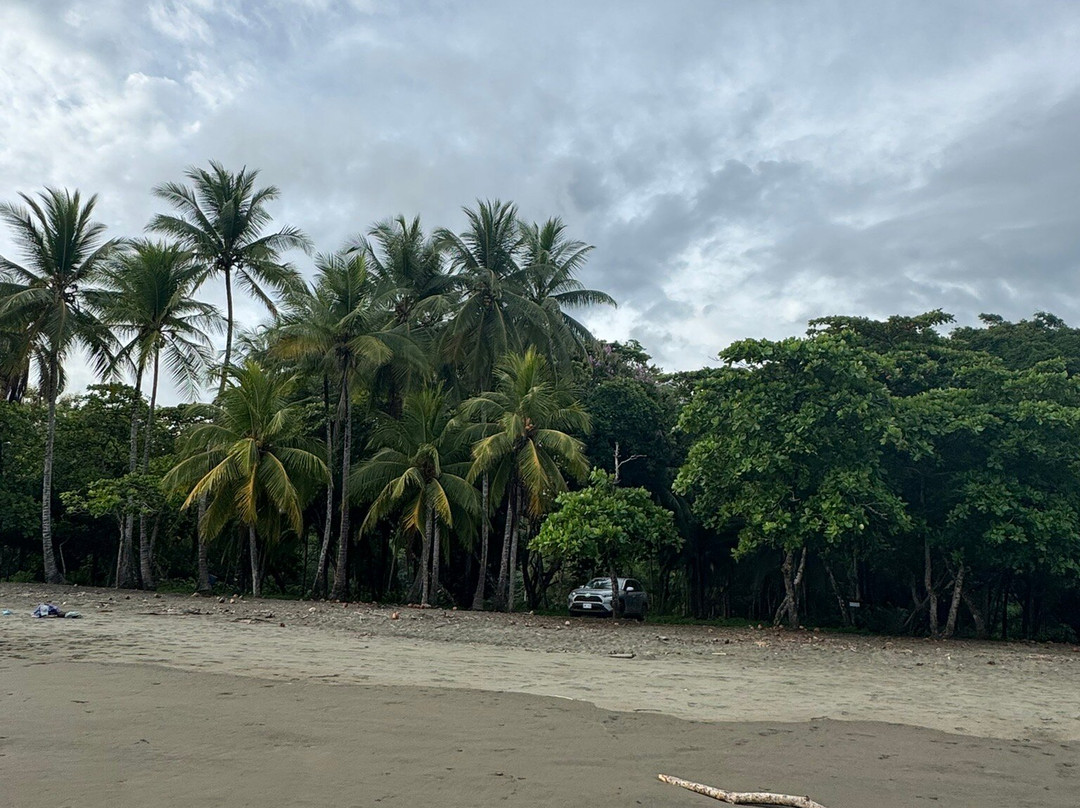 Playa Linda-Playa Matapalo必去景点