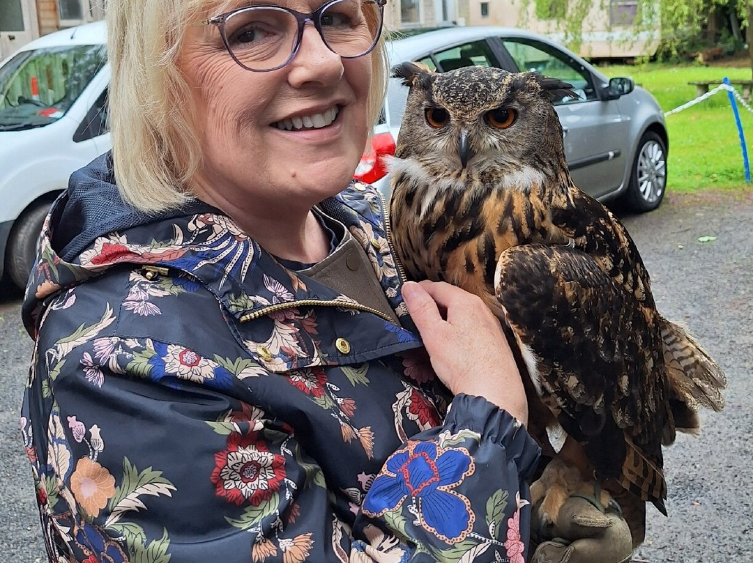World of Owls-Randalstown必去景点