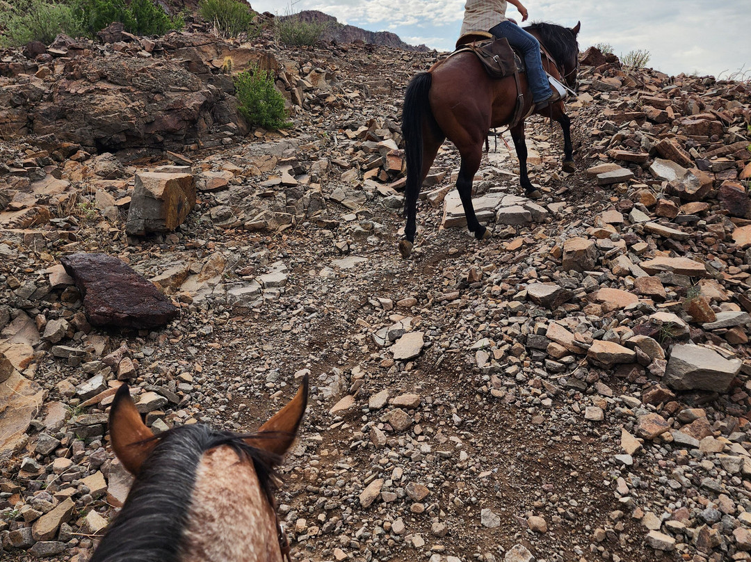 Big Bend & Lajitas Stables-Terlingua必去景点