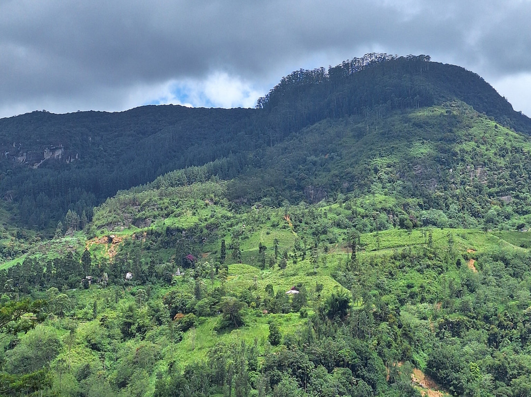 Indika Travel and Tourism Sri Lanka-Kadawata必去景点