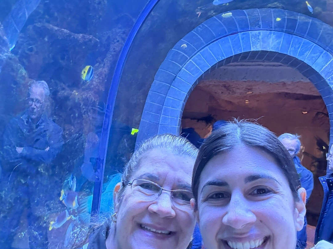 达拉斯世界水族馆-达拉斯必去景点