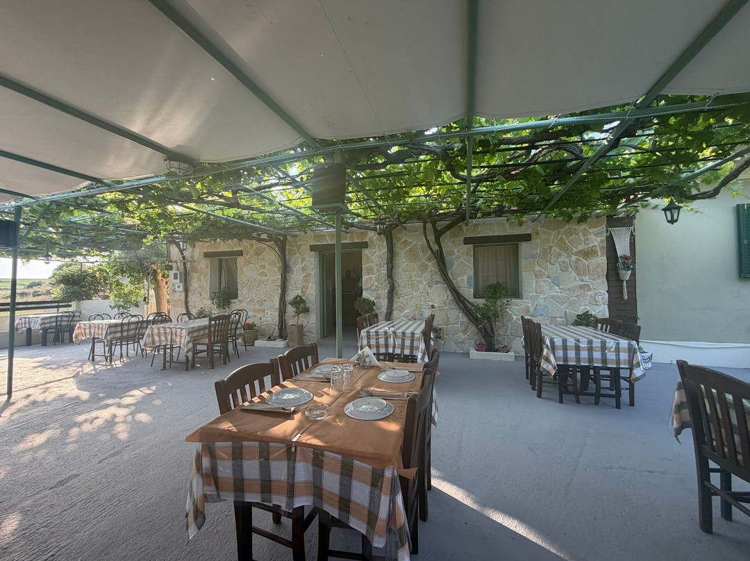 Oasis Traditional Greek Tavern
