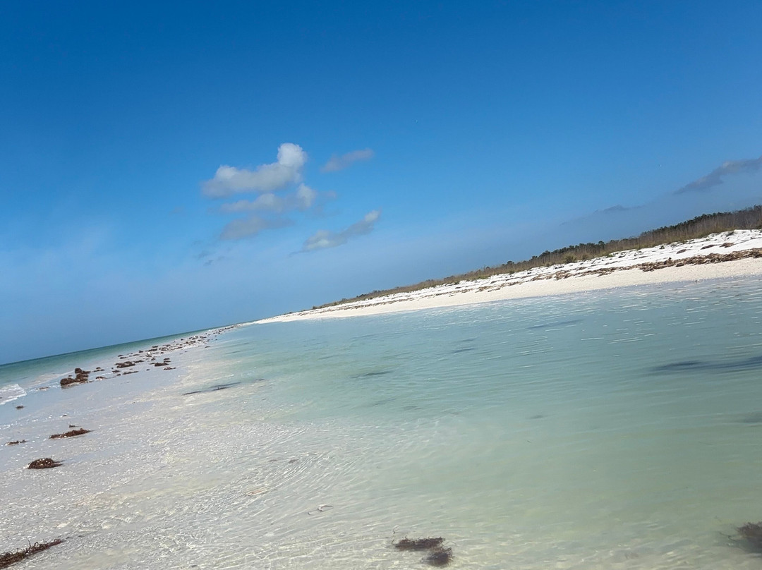 Anclote Key Preserve State Park-新里奇港必去景点