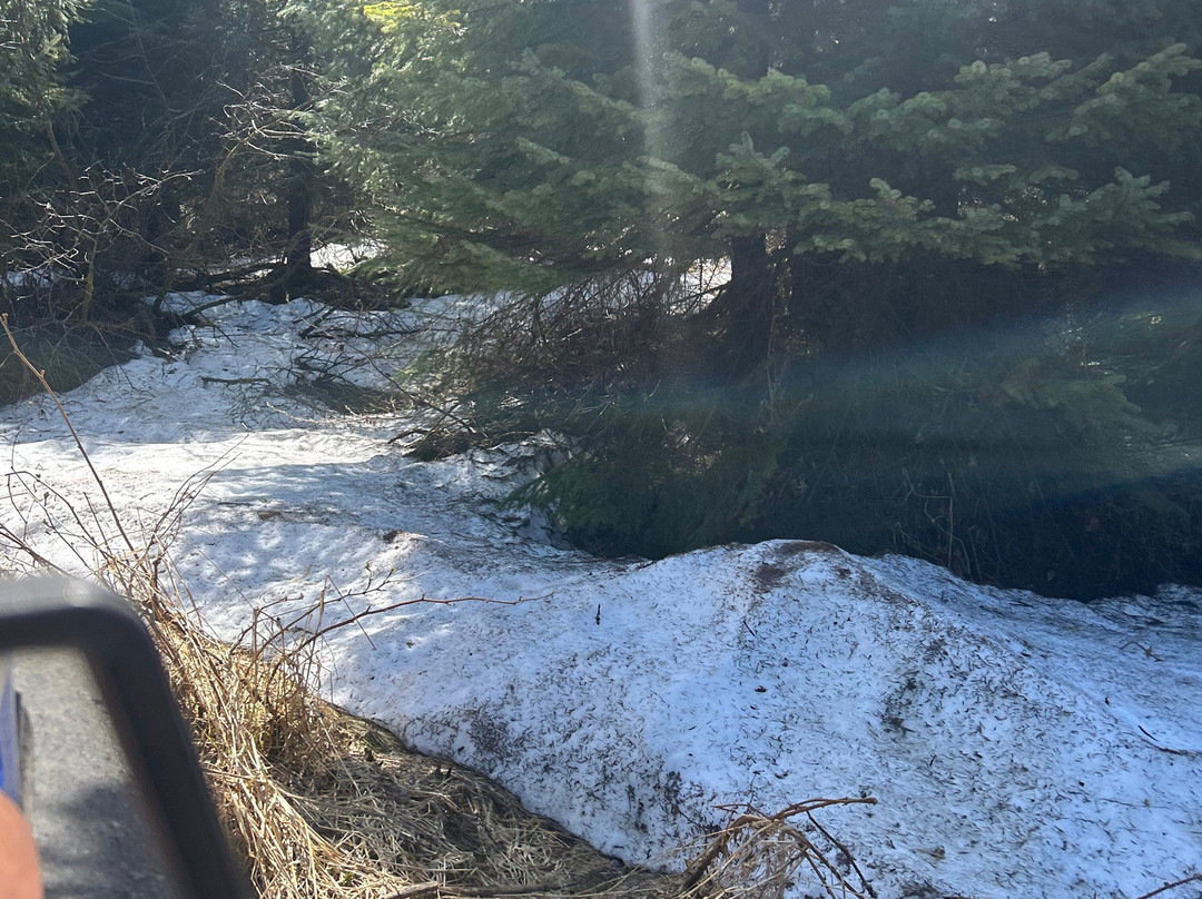 Hoonah ATV Tours-胡纳必去景点