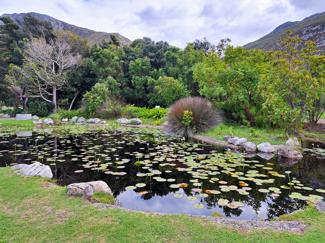 Harold Porter National Botanical Gardens-Betty's Bay必去景点