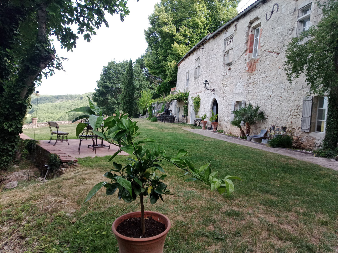 Le Relais de Roquefereau主图
