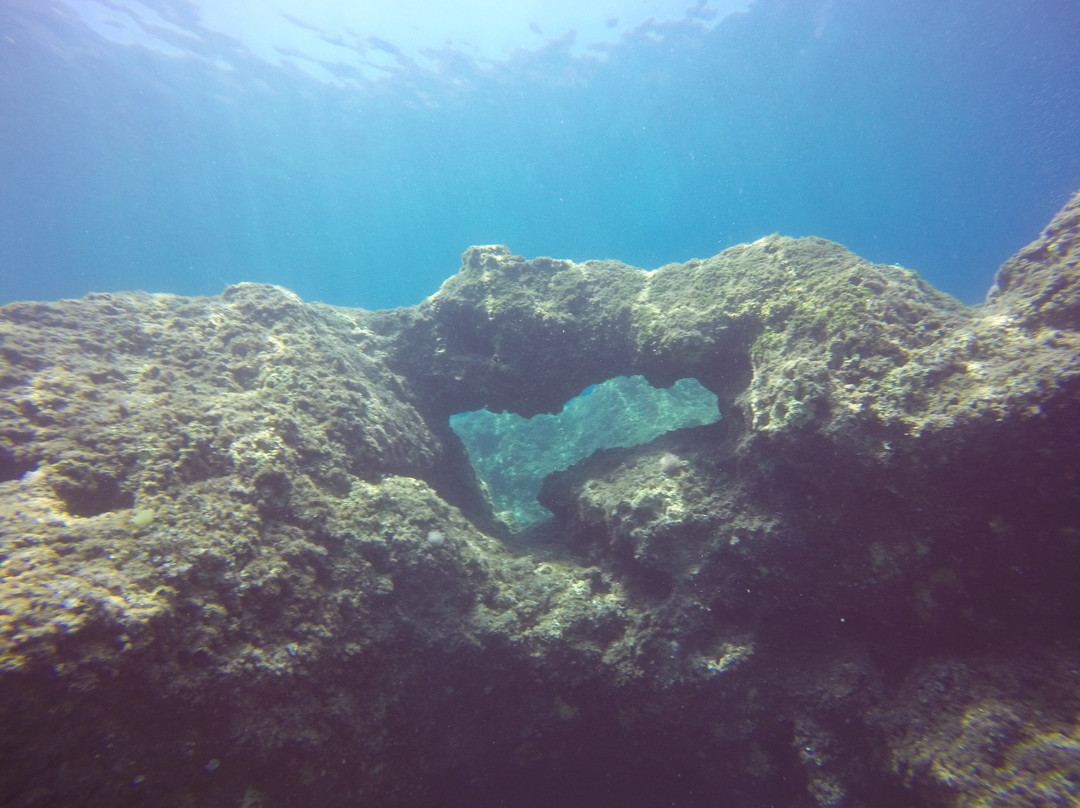 Royal Octopus DIVE CENTER-Kolymbari必去景点