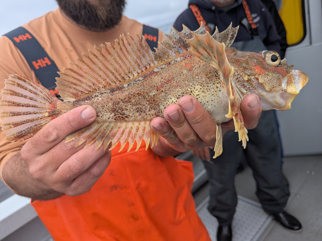 Inlet Charters Across Alaska Adventures-荷马必去景点