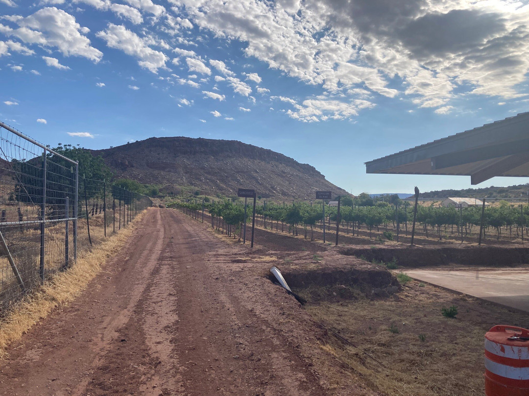 Zion Vineyards