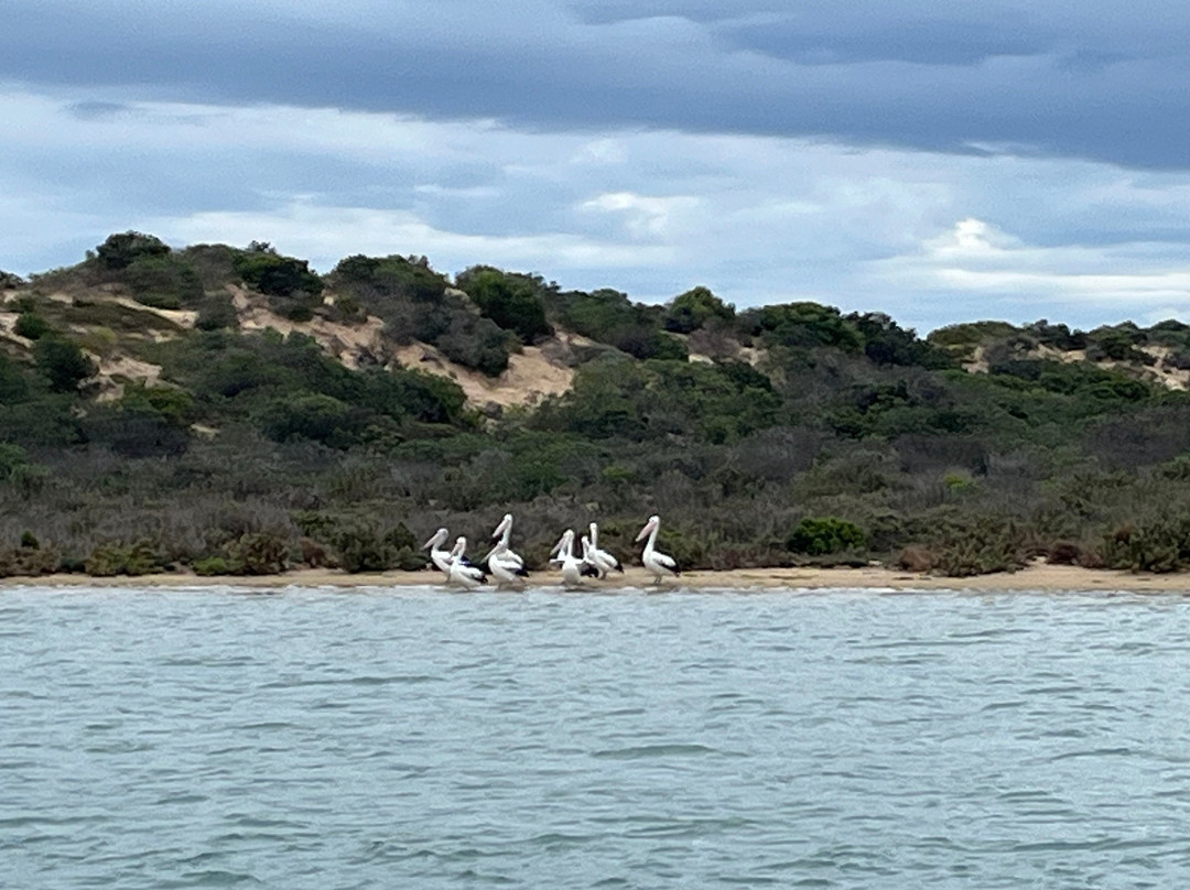 Spirit of the Coorong Cruises-Goolwa必去景点