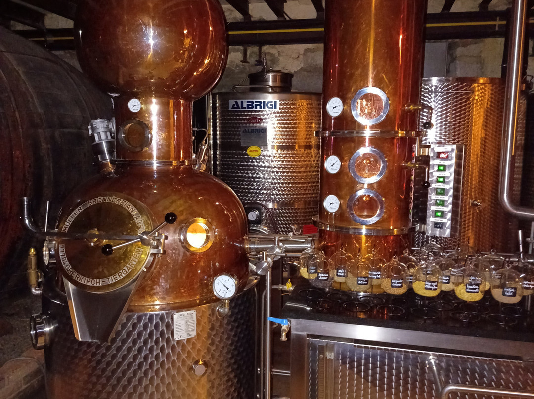 Aura Distillery-Buzet必去景点
