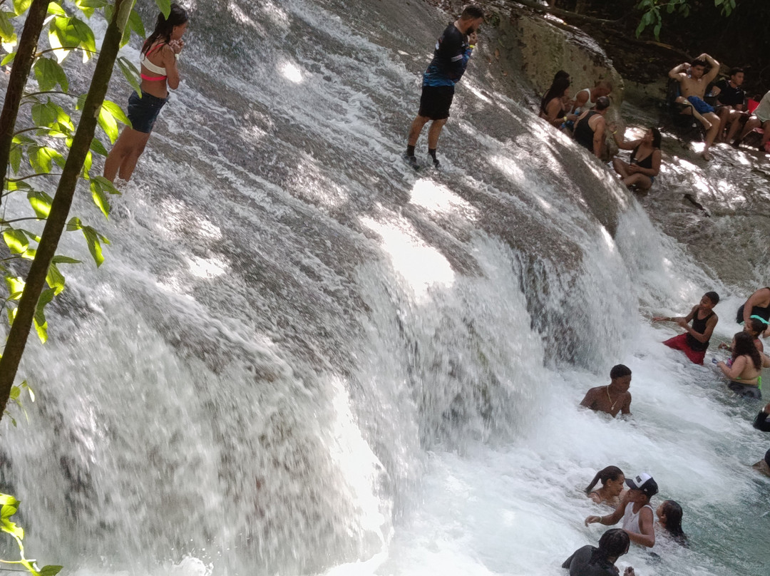 Finca Papirucho