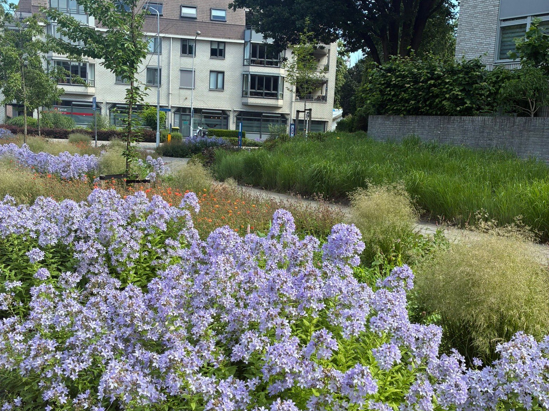 Winkelcentrum Stadspoort Ede-埃德必去景点