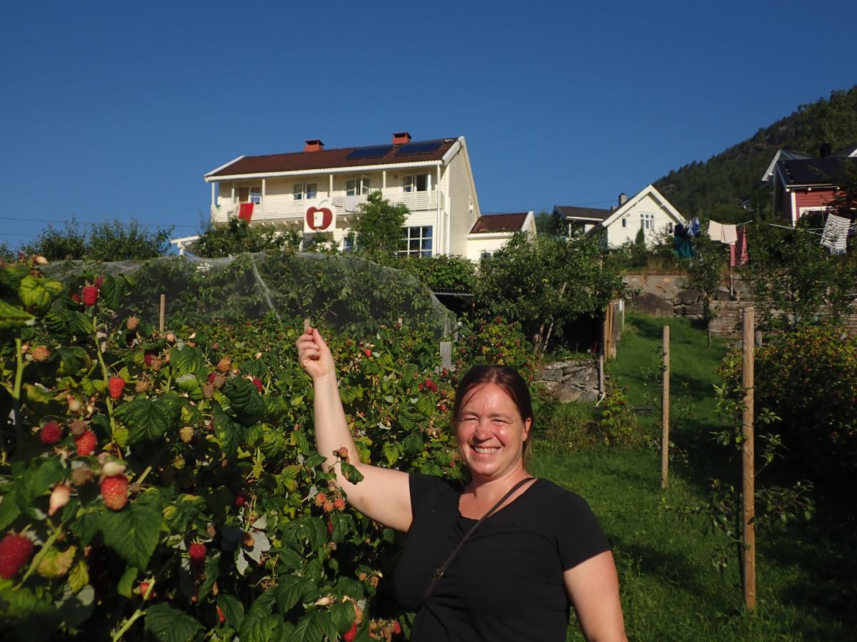 Eplet Bed & Apple-旅行者