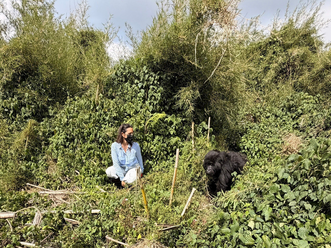 New Horizon Africa Safaris-吉佳利必去景点