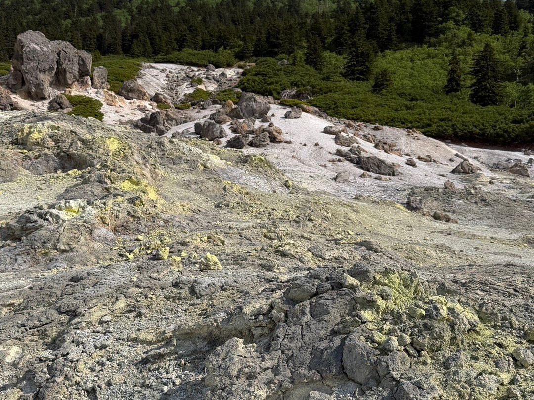 Fumarole Fields of Mendeleyev Volcano