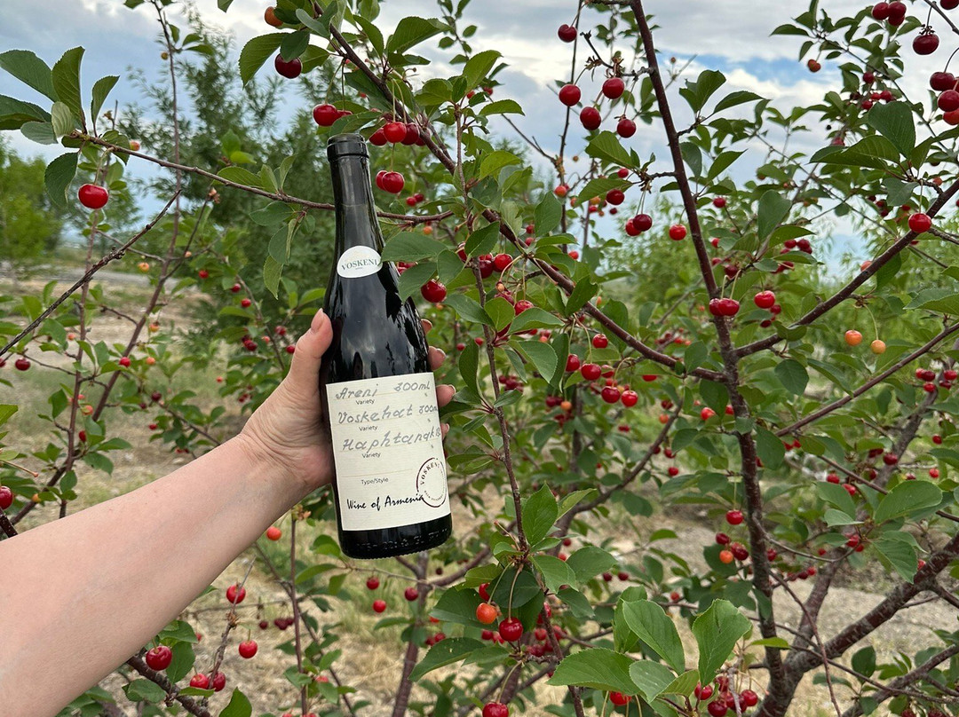 Voskeni Wines-Araks必去景点
