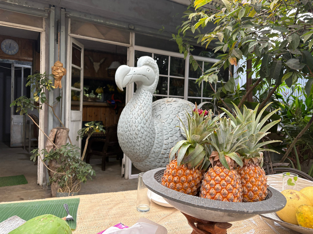 Le Jardin de la Vanille et l'Epice-路易士港必去景点