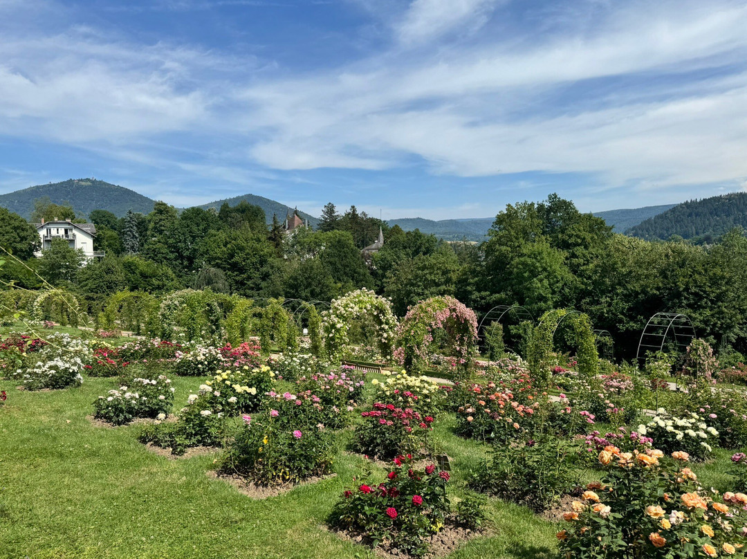 Garten der Rosenneuheiten-巴登巴登必去景点