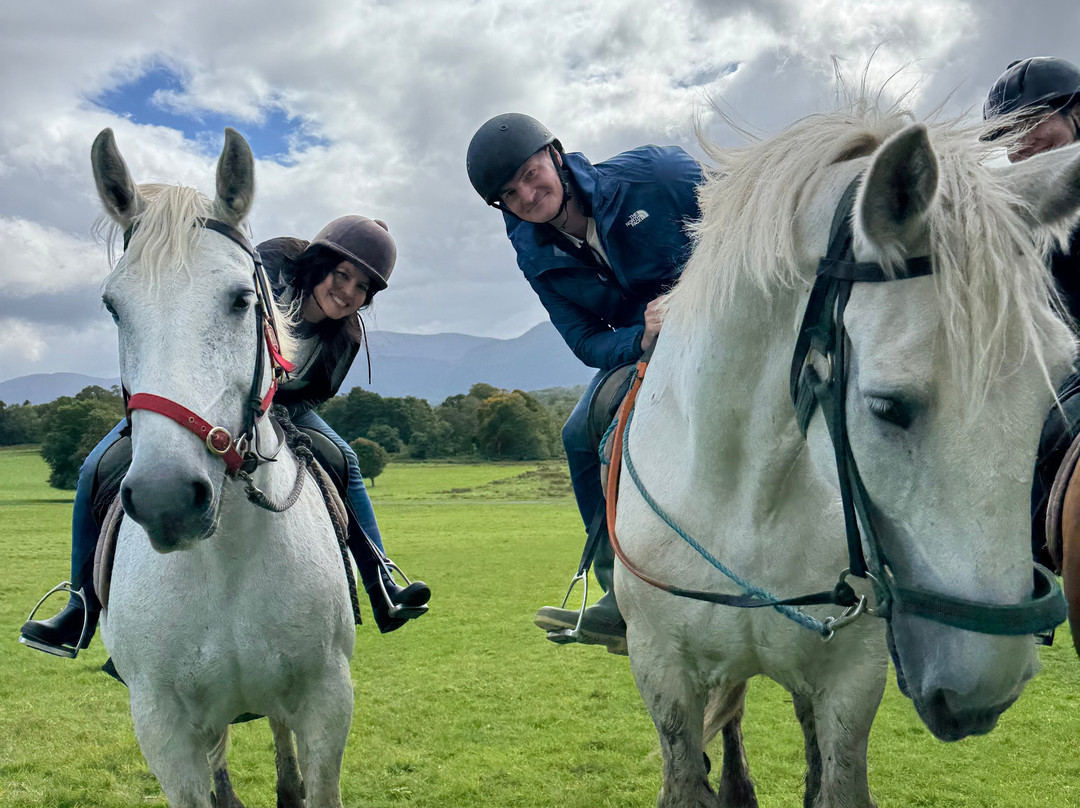 Killarney Riding Stables-基拉尼必去景点