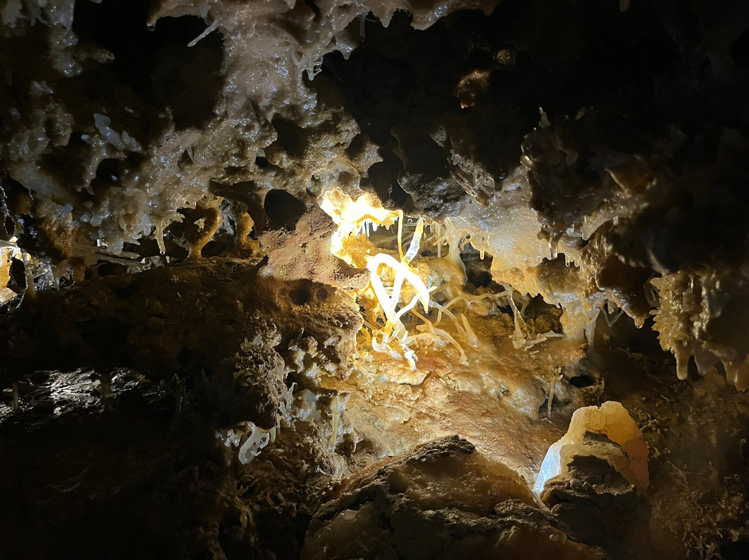 Grotte du Grand Roc-Les Eyzies-de-Tayac-Sireuil必去景点