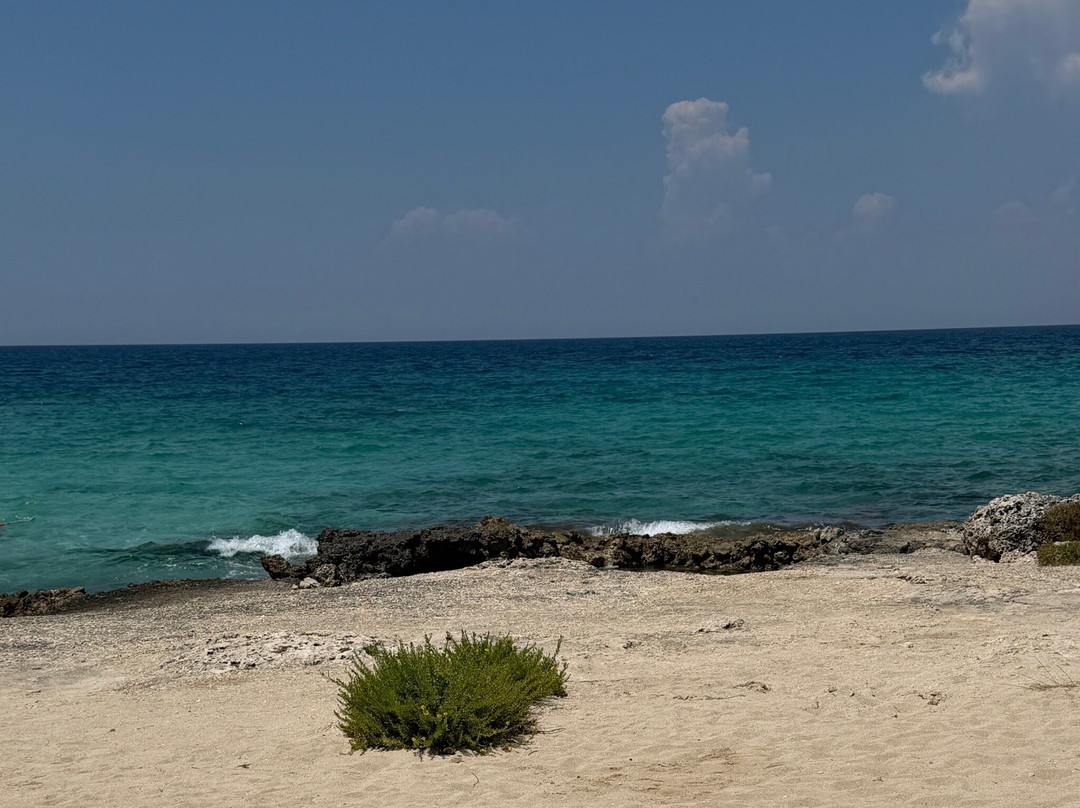 Spiaggia di SantIsidoro