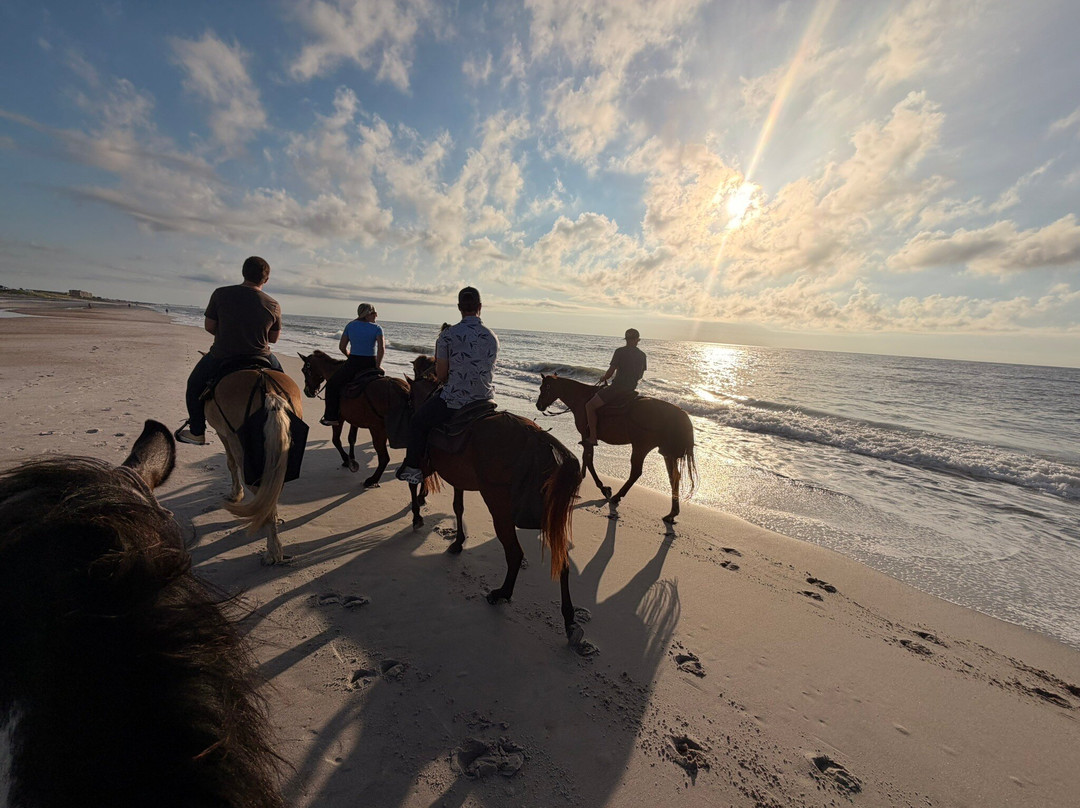 Amelia Island Horseback Riding-费尔南迪纳岛必去景点